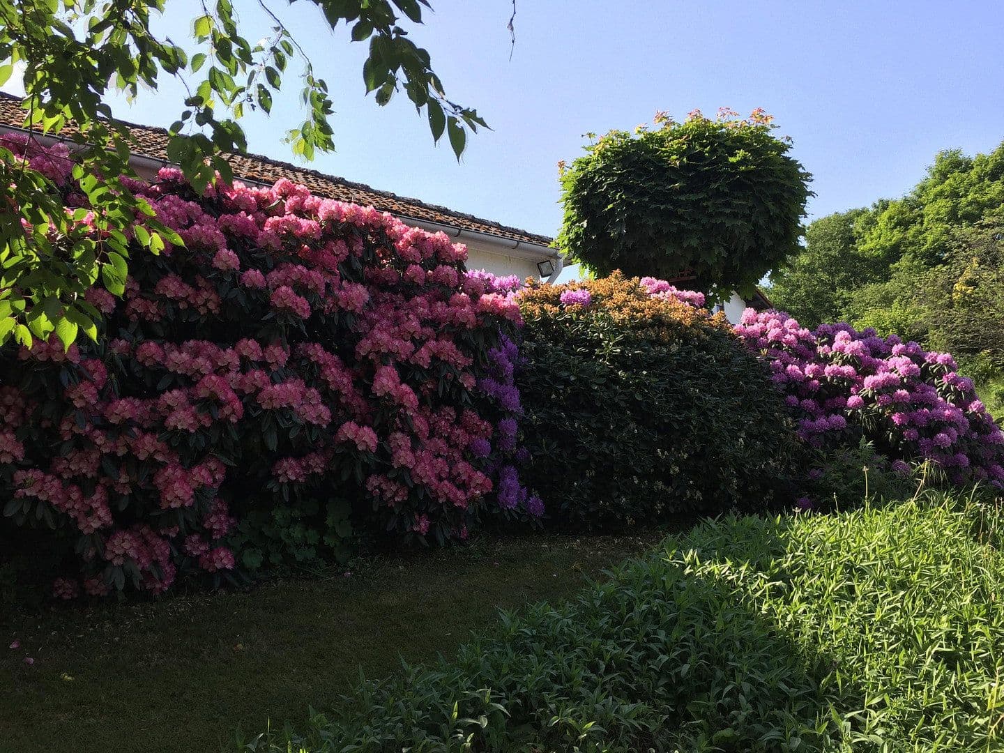 house for sale, 253 m², Heidenrod, Hesse house for sale, 253 m², Heidenrod, Hesse