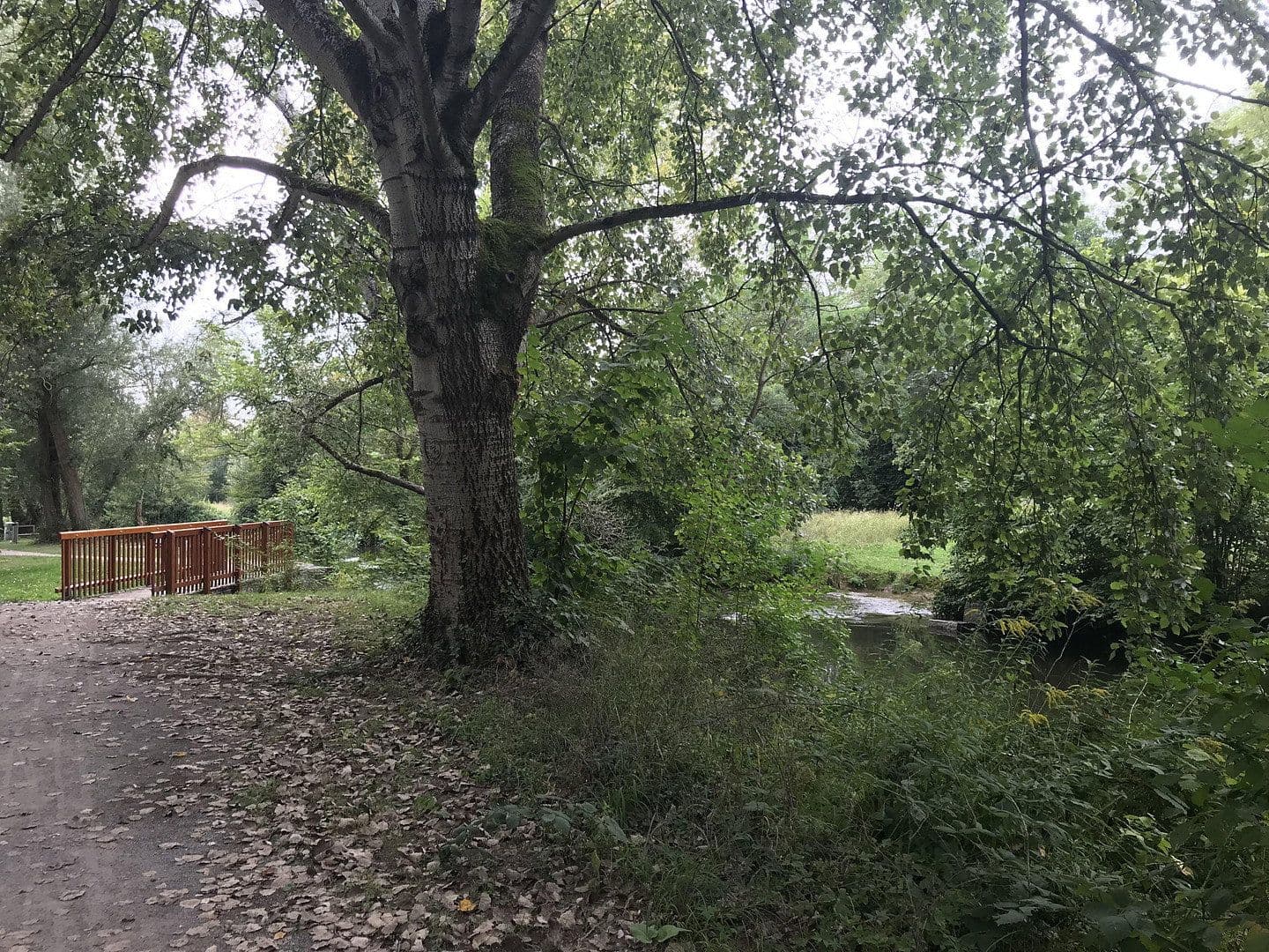 house for sale, 157 m², Karlsruhe, Baden-Württemberg house for sale, 157 m², Karlsruhe, Baden-Württemberg