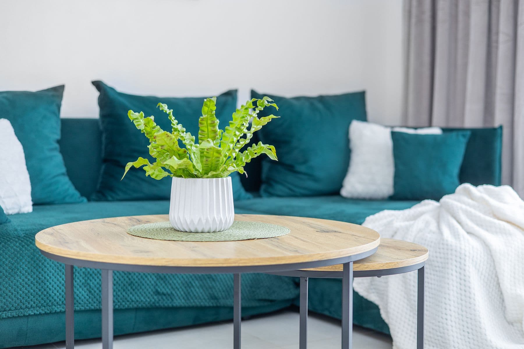 2 bedroom with open-plan kitchen flat for sale, 87 m², Nemojany, Jihomoravský Region 2 bedroom with open-plan kitchen flat for sale, 87 m², Nemojany, Jihomoravský Region