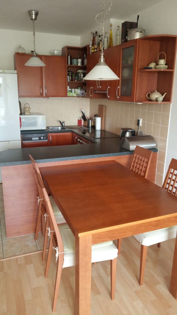 2 bedroom with open-plan kitchen flat to rent, 85 m², Divišovská, Prague, Prague 2 bedroom with open-plan kitchen flat to rent, 85 m², Divišovská, Prague, Prague