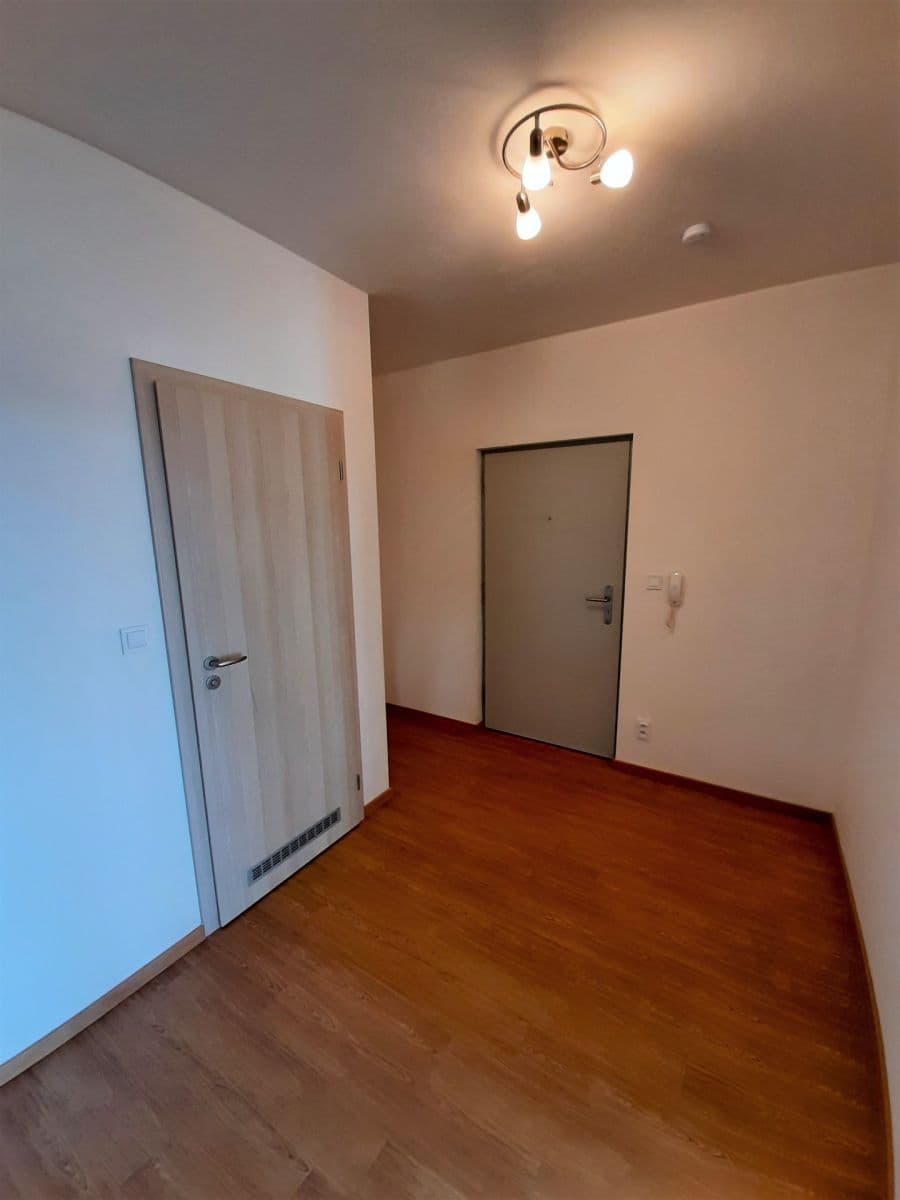 1 bedroom with open-plan kitchen flat to rent, 56 m², Práčská, Prague, Prague 1 bedroom with open-plan kitchen flat to rent, 56 m², Práčská, Prague, Prague