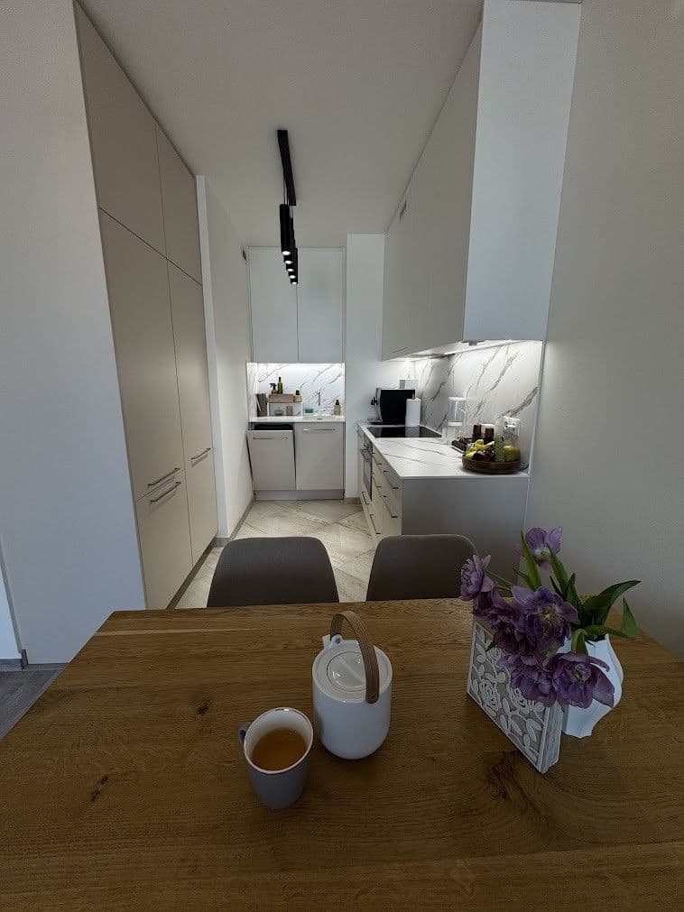 1 bedroom with open-plan kitchen flat for sale, 47 m², Do Zahrádek Ⅰ, Prague, Prague 1 bedroom with open-plan kitchen flat for sale, 47 m², Do Zahrádek Ⅰ, Prague, Prague