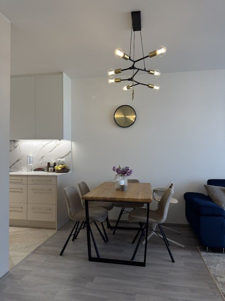 1 bedroom with open-plan kitchen flat for sale, 47 m², Do Zahrádek Ⅰ, Prague, Prague 1 bedroom with open-plan kitchen flat for sale, 47 m², Do Zahrádek Ⅰ, Prague, Prague