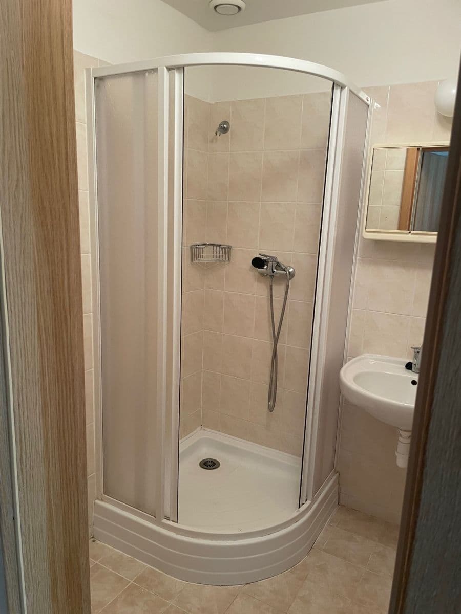 1 bedroom with open-plan kitchen flat to rent, 34 m², Mezi Domky, Prague, Prague 1 bedroom with open-plan kitchen flat to rent, 34 m², Mezi Domky, Prague, Prague