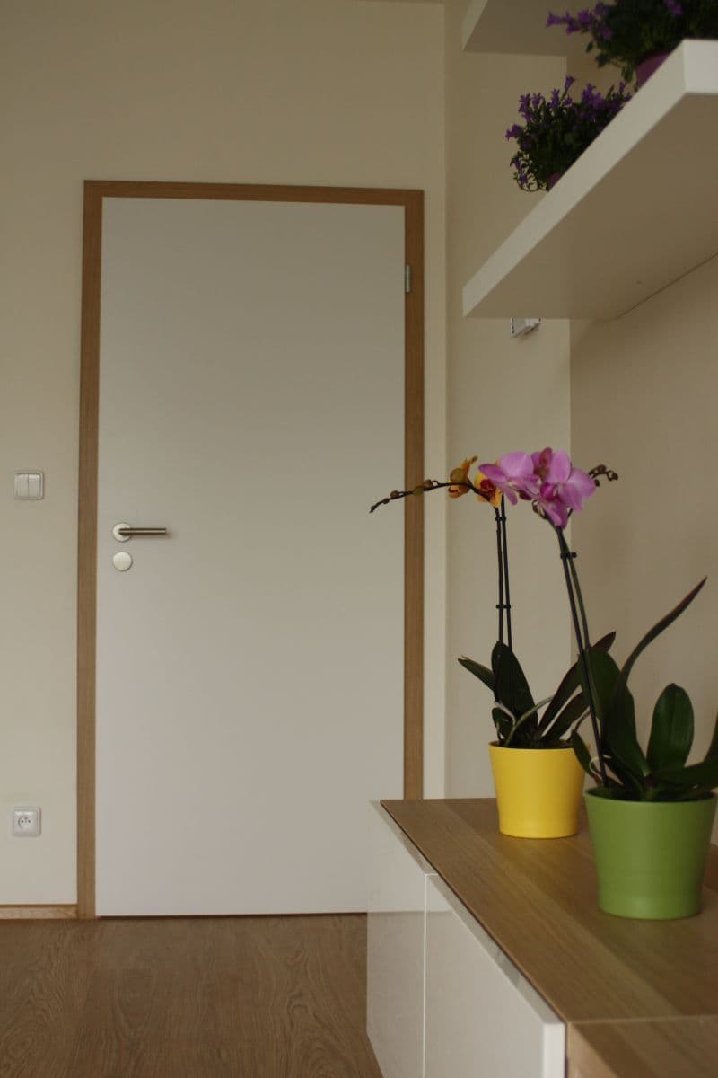 1 bedroom with open-plan kitchen flat to rent, 55 m², Sochorova, Brno, Jihomoravský Region 1 bedroom with open-plan kitchen flat to rent, 55 m², Sochorova, Brno, Jihomoravský Region