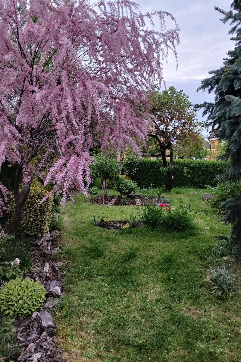 house for sale, 158 m², Třtinová, Prague, Prague house for sale, 158 m², Třtinová, Prague, Prague