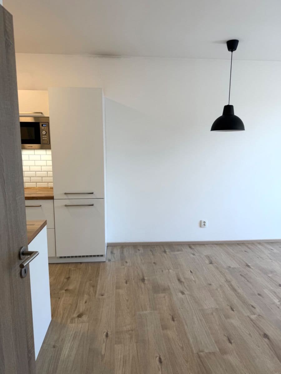 1 bedroom with open-plan kitchen flat to rent, 49 m², Fojtova, Prague, Prague 1 bedroom with open-plan kitchen flat to rent, 49 m², Fojtova, Prague, Prague