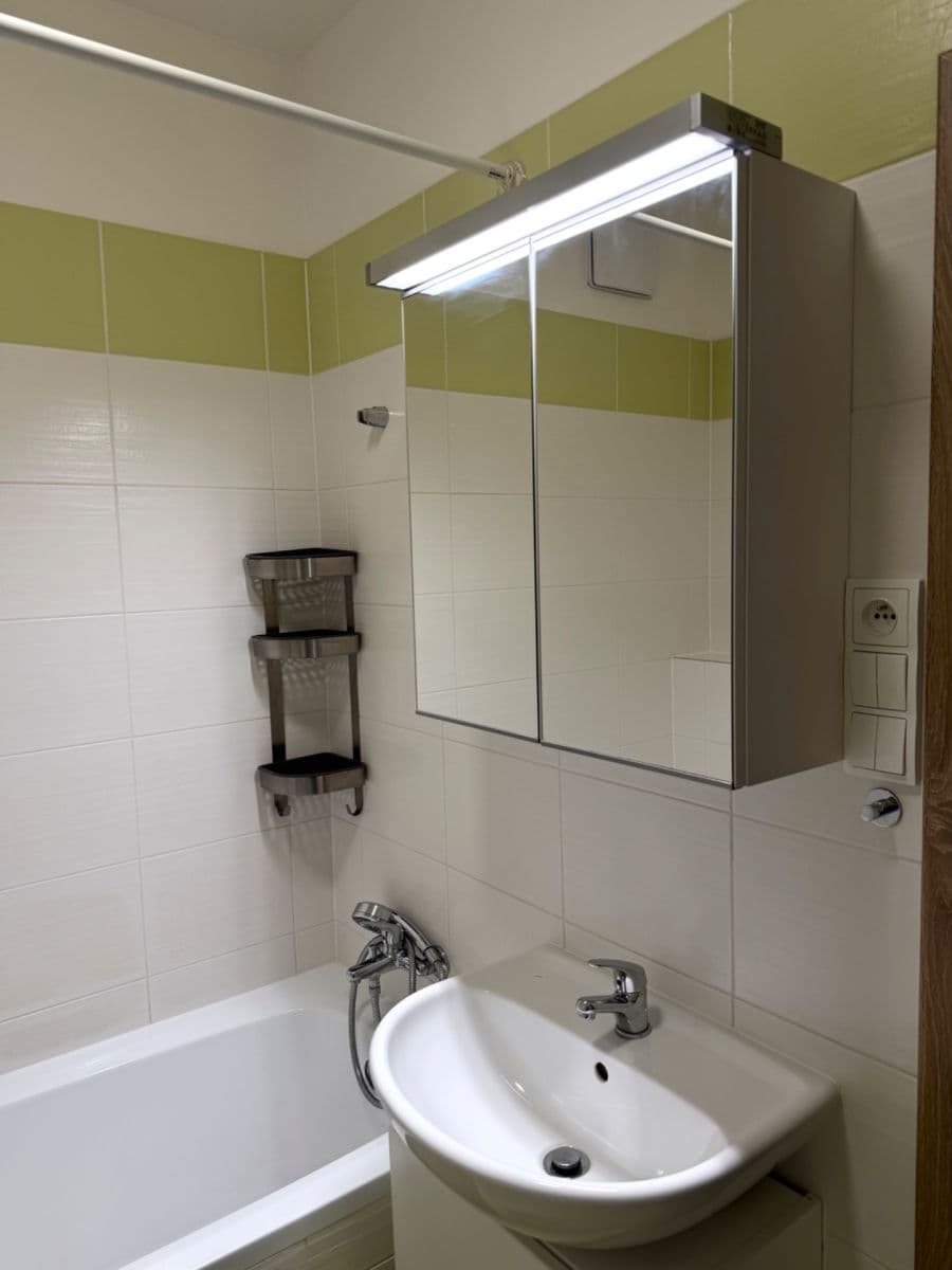 1 bedroom with open-plan kitchen flat to rent, 49 m², Fojtova, Prague, Prague 1 bedroom with open-plan kitchen flat to rent, 49 m², Fojtova, Prague, Prague