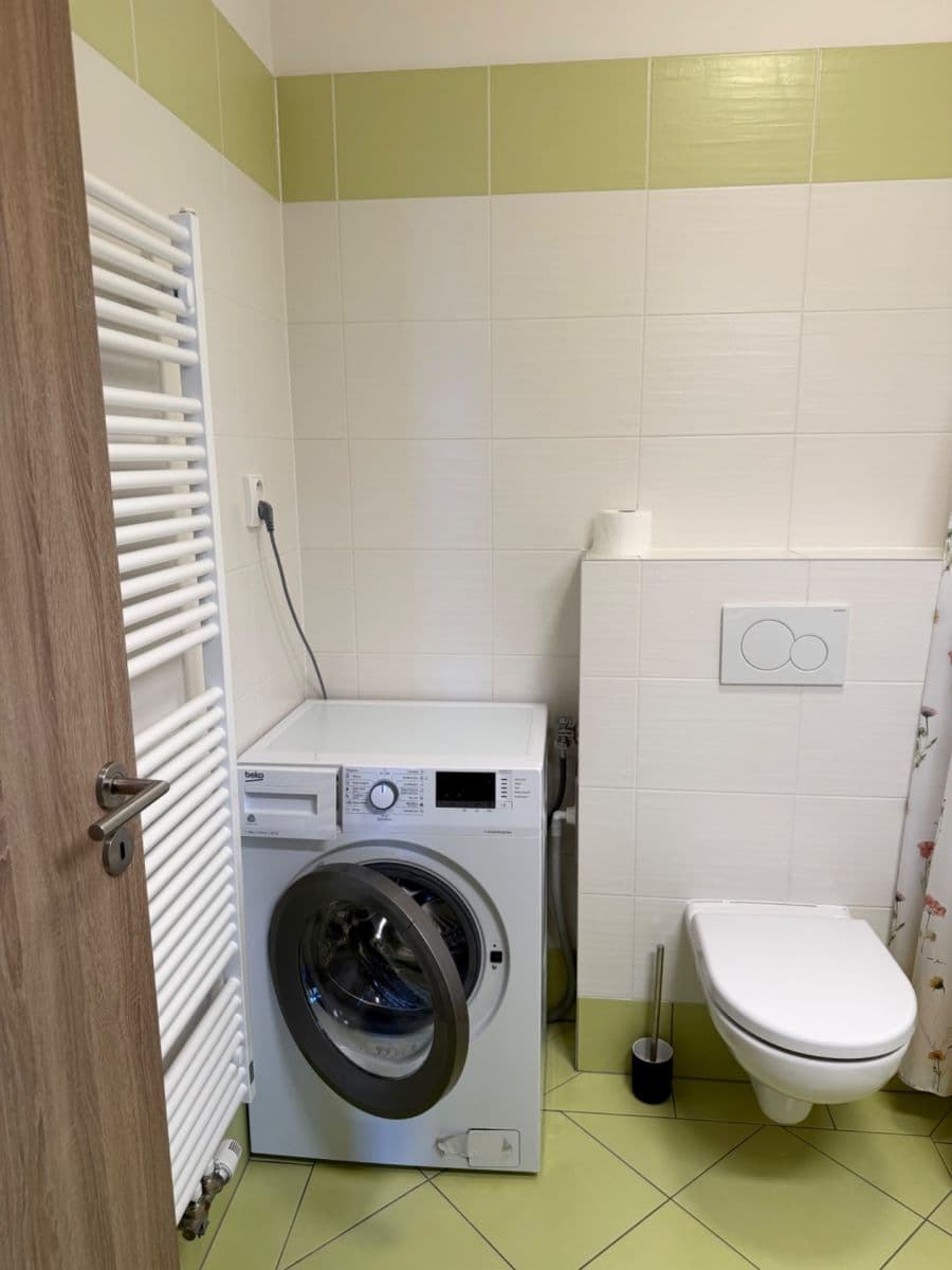 1 bedroom with open-plan kitchen flat to rent, 49 m², Fojtova, Prague, Prague 1 bedroom with open-plan kitchen flat to rent, 49 m², Fojtova, Prague, Prague