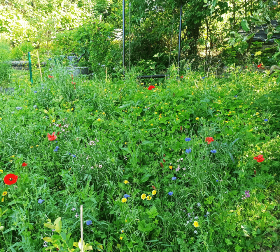 recreational property for sale, 340 m², Na Okrouhlíku, Prague, Prague recreational property for sale, 340 m², Na Okrouhlíku, Prague, Prague