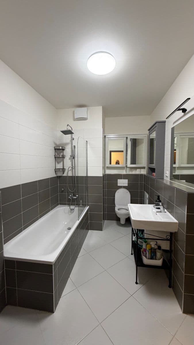 1 bedroom with open-plan kitchen flat to rent, 52 m², Ondrákové, Prague, Prague 1 bedroom with open-plan kitchen flat to rent, 52 m², Ondrákové, Prague, Prague