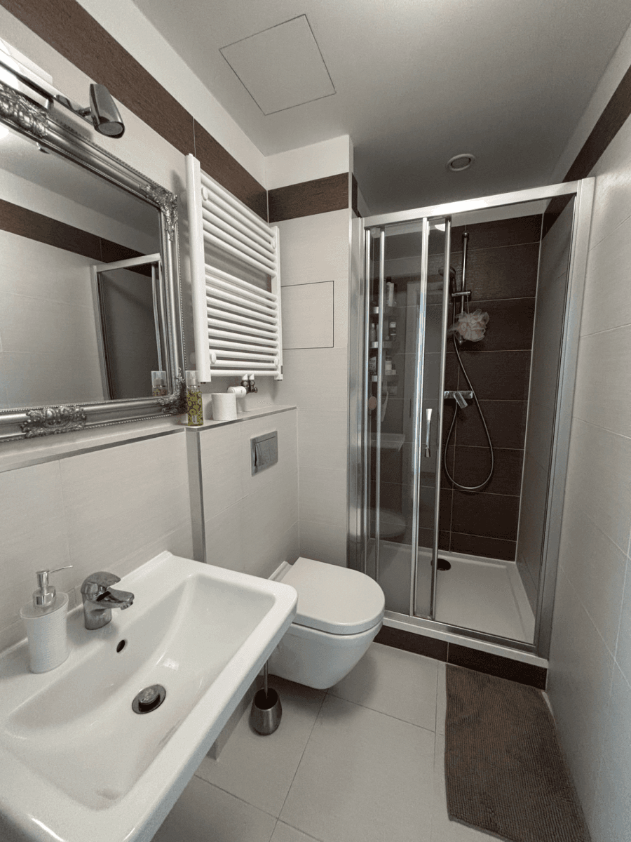 3 bedroom with open-plan kitchen flat to rent, 96 m², Nepomuckých, Prague, Prague 3 bedroom with open-plan kitchen flat to rent, 96 m², Nepomuckých, Prague, Prague