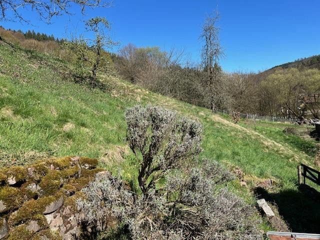 house for sale, 160 m², Schönbrunn, Baden-Württemberg house for sale, 160 m², Schönbrunn, Baden-Württemberg