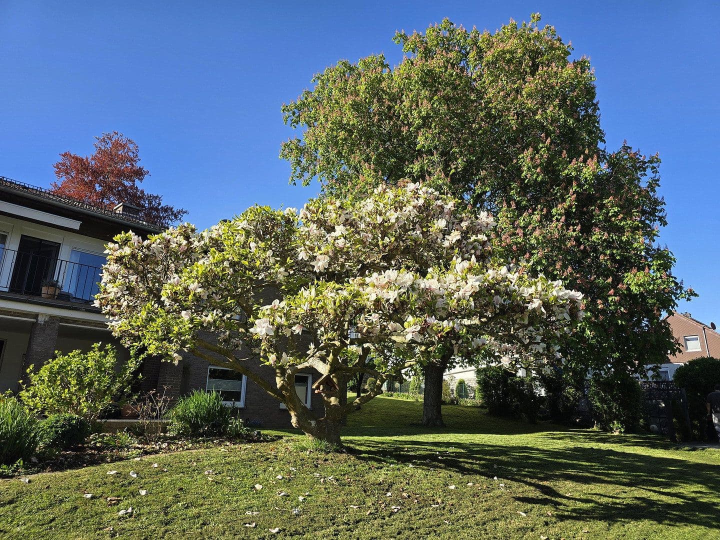 house for sale, 240 m², Hans-Staden-Allee 6, Homberg (Efze), Hesse house for sale, 240 m², Hans-Staden-Allee 6, Homberg (Efze), Hesse