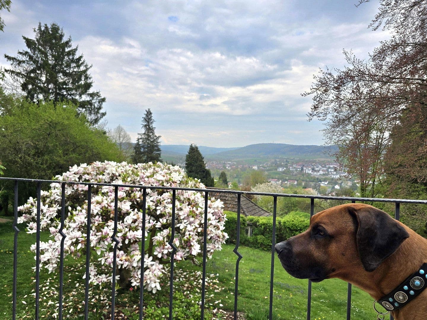 house for sale, 240 m², Hans-Staden-Allee 6, Homberg (Efze), Hesse house for sale, 240 m², Hans-Staden-Allee 6, Homberg (Efze), Hesse