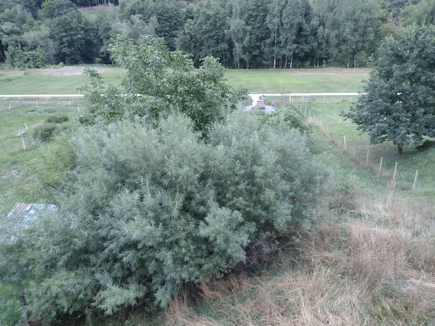 plot for sale, 581 m², Heimbuchenthal, Bavaria plot for sale, 581 m², Heimbuchenthal, Bavaria