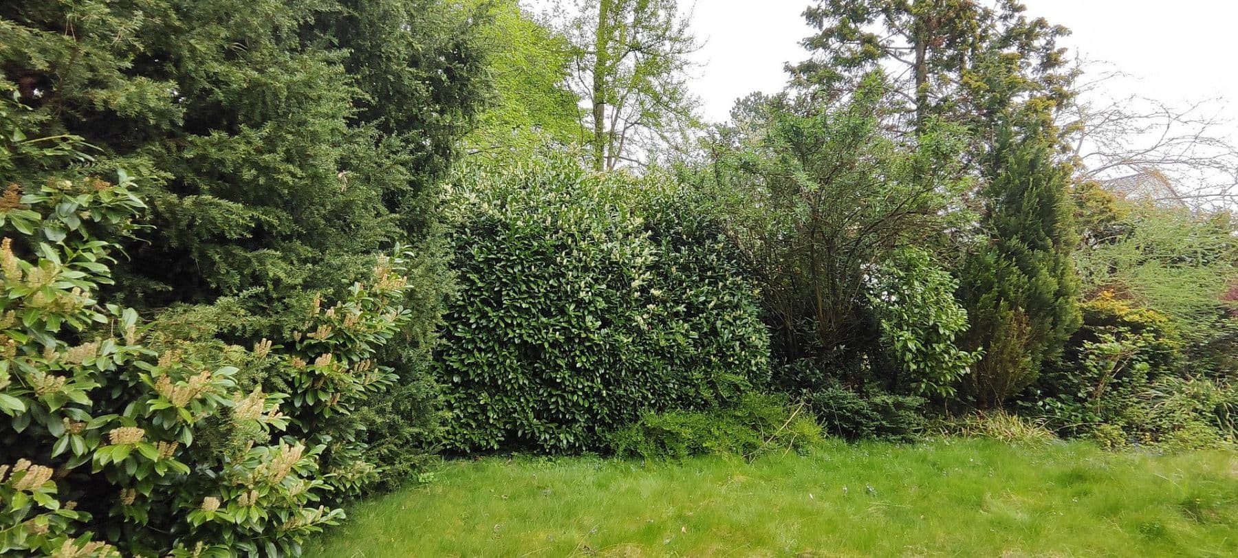 plot for sale, 1,646 m², Verschaffeltstr.4, Düsseldorf, North Rhine-Westphalia plot for sale, 1,646 m², Verschaffeltstr.4, Düsseldorf, North Rhine-Westphalia