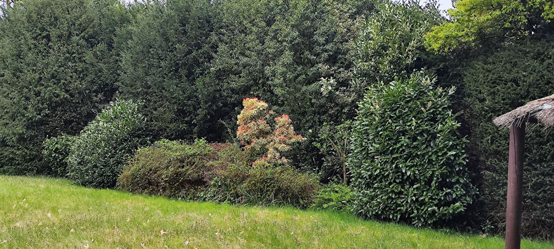 plot for sale, 1,646 m², Verschaffeltstr.4, Düsseldorf, North Rhine-Westphalia plot for sale, 1,646 m², Verschaffeltstr.4, Düsseldorf, North Rhine-Westphalia