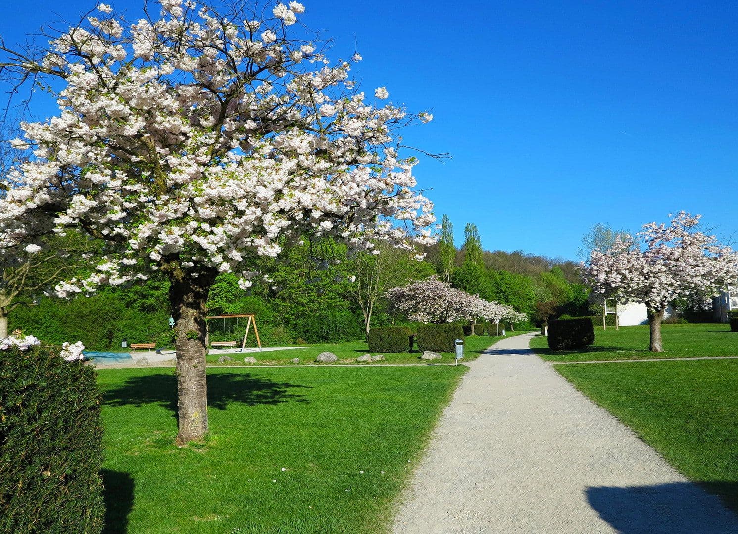 1 bedroom with open-plan kitchen flat to rent, 48 m², Im Bruckenwasen 6, Plochingen, Baden-Württemberg 1 bedroom with open-plan kitchen flat to rent, 48 m², Im Bruckenwasen 6, Plochingen, Baden-Württemberg