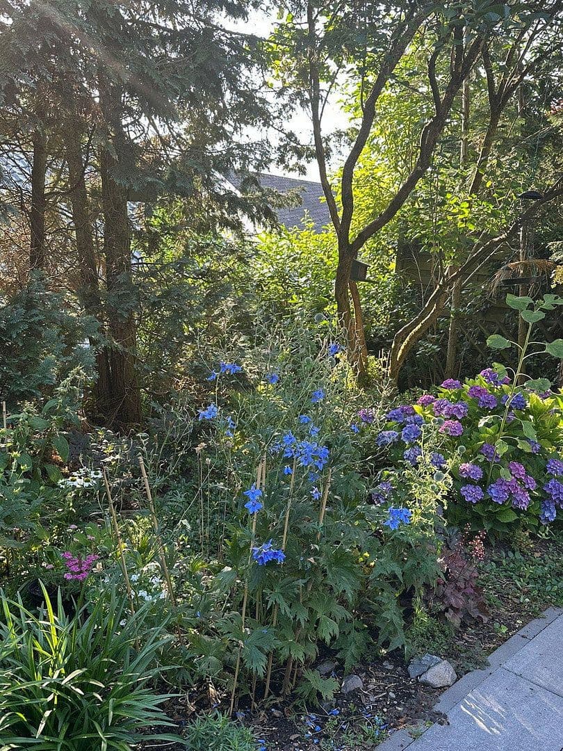 4 bedroom flat to rent, 210 m², Koblenz, Rhineland-Palatinate 4 bedroom flat to rent, 210 m², Koblenz, Rhineland-Palatinate