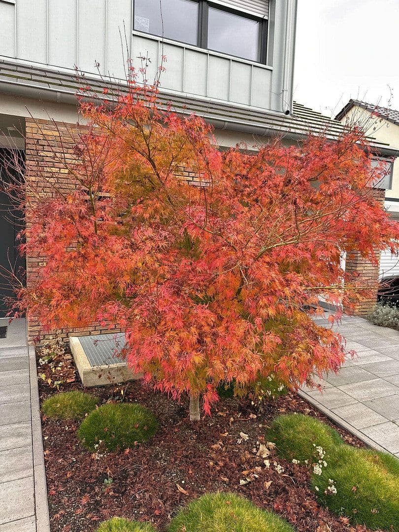 4 bedroom flat to rent, 210 m², Koblenz, Rhineland-Palatinate 4 bedroom flat to rent, 210 m², Koblenz, Rhineland-Palatinate