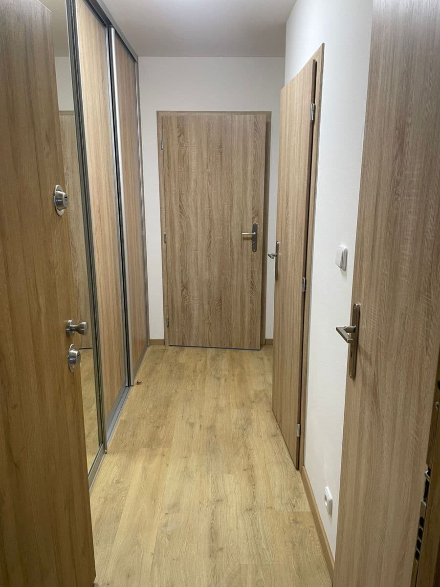 1 bedroom with open-plan kitchen flat to rent, 47 m², Kosmonautů, Mělník, Středočeský Region 1 bedroom with open-plan kitchen flat to rent, 47 m², Kosmonautů, Mělník, Středočeský Region