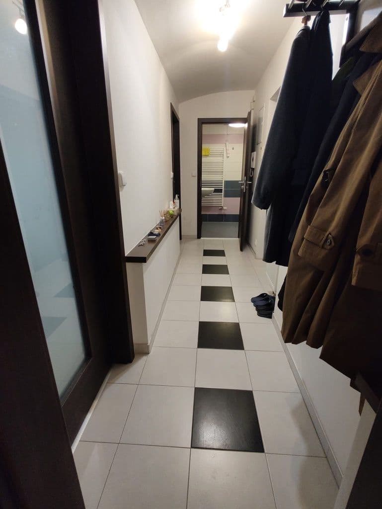 1 bedroom with open-plan kitchen flat to rent, 48 m², U Krbu, Prague, Prague 1 bedroom with open-plan kitchen flat to rent, 48 m², U Krbu, Prague, Prague