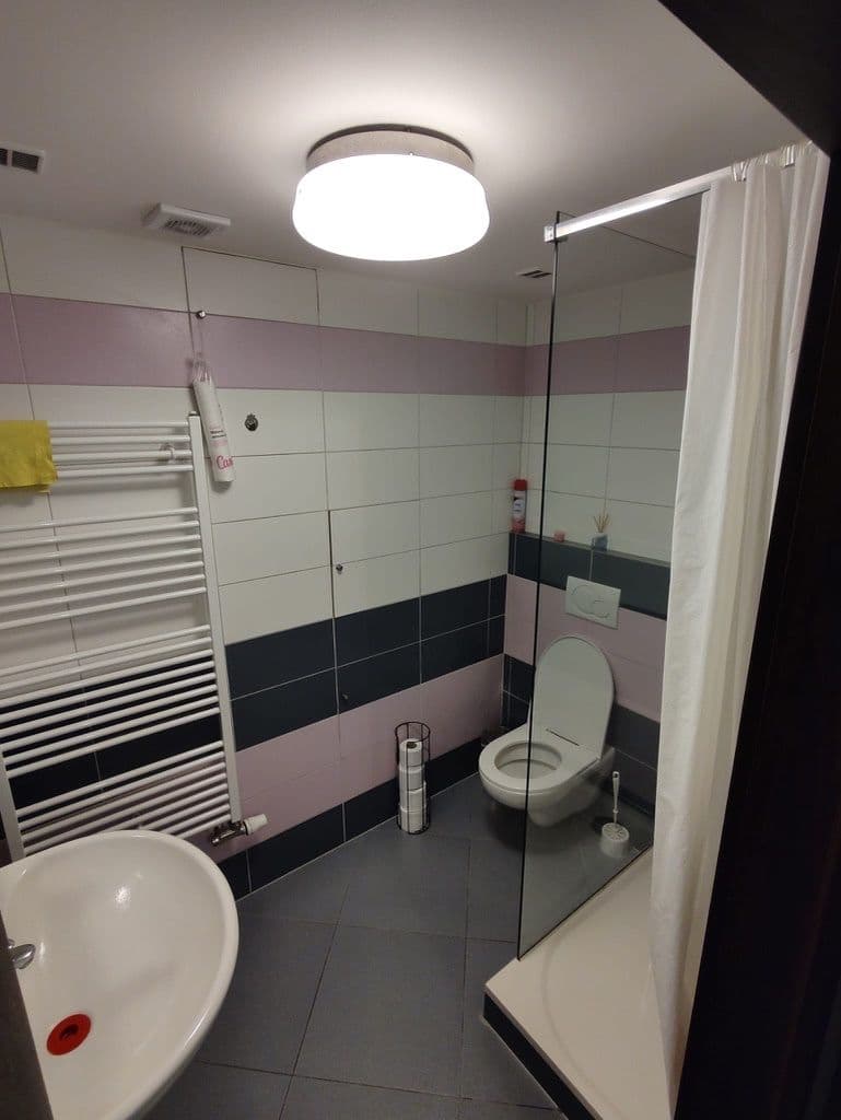 1 bedroom with open-plan kitchen flat to rent, 48 m², U Krbu, Prague, Prague 1 bedroom with open-plan kitchen flat to rent, 48 m², U Krbu, Prague, Prague