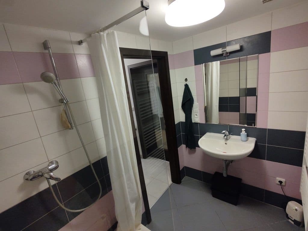 1 bedroom with open-plan kitchen flat to rent, 48 m², U Krbu, Prague, Prague 1 bedroom with open-plan kitchen flat to rent, 48 m², U Krbu, Prague, Prague