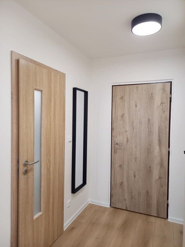 1 bedroom with open-plan kitchen flat to rent, 40 m², Mečíková, Prague, Prague 1 bedroom with open-plan kitchen flat to rent, 40 m², Mečíková, Prague, Prague