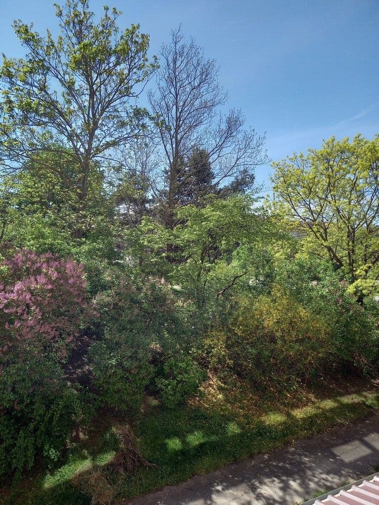 1 bedroom with open-plan kitchen flat to rent, 40 m², Mečíková, Prague, Prague 1 bedroom with open-plan kitchen flat to rent, 40 m², Mečíková, Prague, Prague