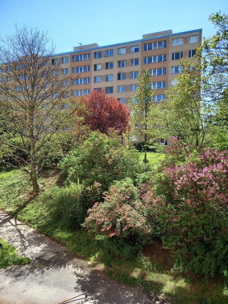 1 bedroom with open-plan kitchen flat to rent, 40 m², Mečíková, Prague, Prague 1 bedroom with open-plan kitchen flat to rent, 40 m², Mečíková, Prague, Prague