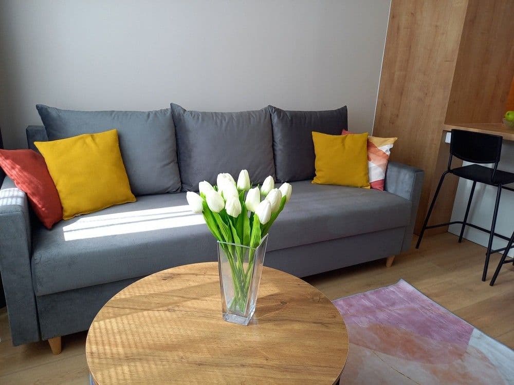 1 bedroom with open-plan kitchen flat to rent, 40 m², Mečíková, Prague, Prague 1 bedroom with open-plan kitchen flat to rent, 40 m², Mečíková, Prague, Prague