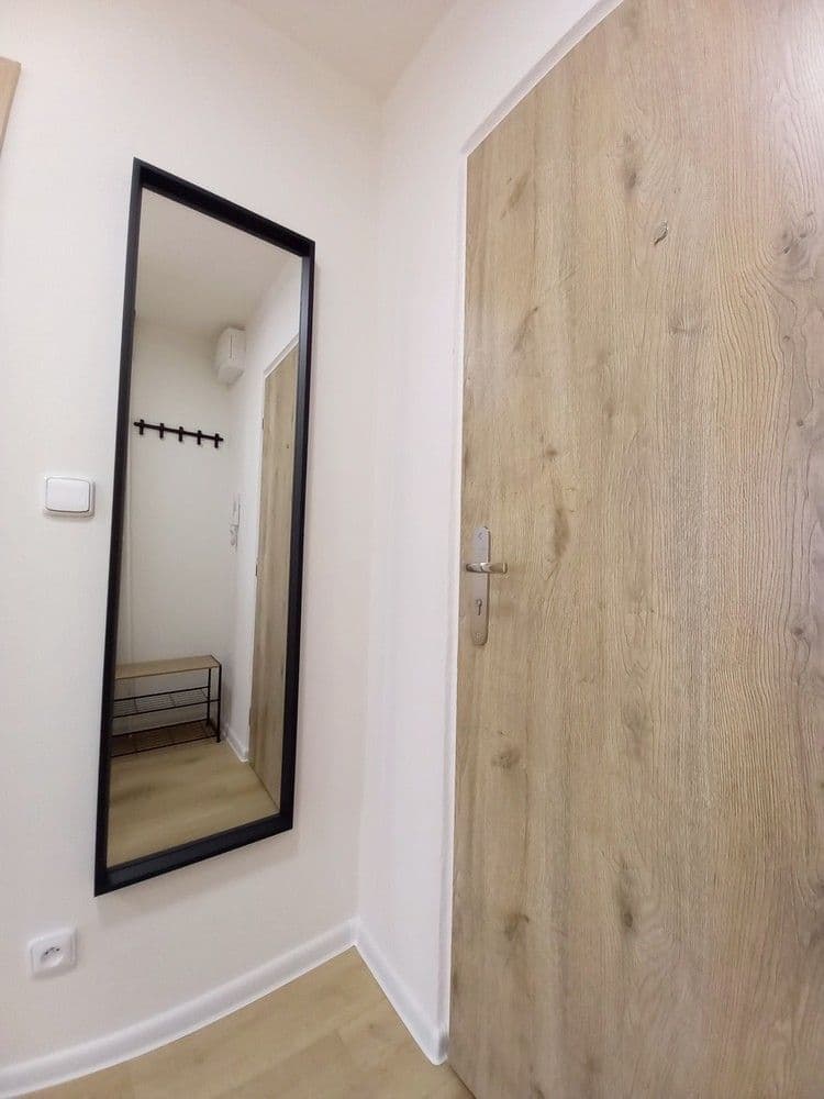 1 bedroom with open-plan kitchen flat to rent, 40 m², Mečíková, Prague, Prague 1 bedroom with open-plan kitchen flat to rent, 40 m², Mečíková, Prague, Prague