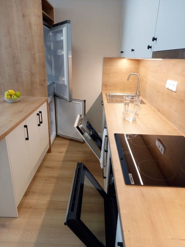 1 bedroom with open-plan kitchen flat to rent, 40 m², Mečíková, Prague, Prague 1 bedroom with open-plan kitchen flat to rent, 40 m², Mečíková, Prague, Prague