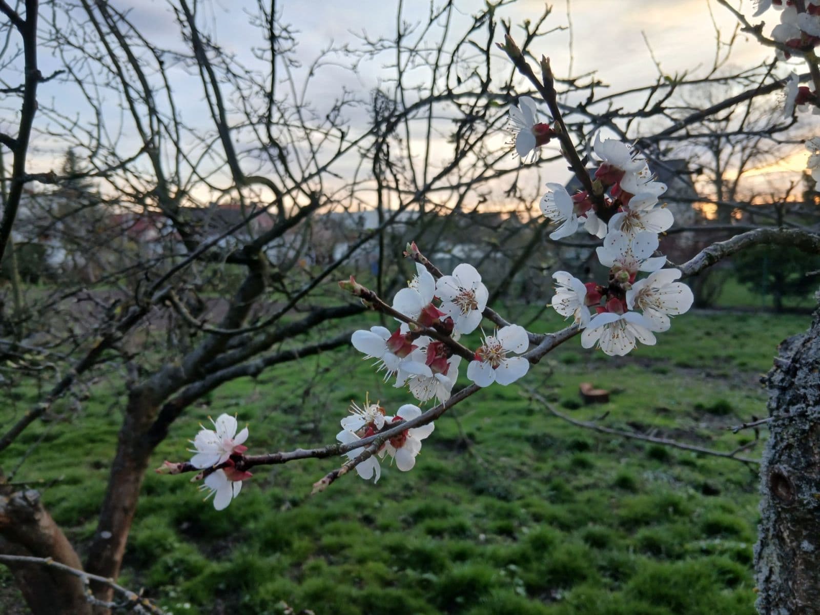 plot for sale, 853 m², Borovská, Prague, Prague plot for sale, 853 m², Borovská, Prague, Prague