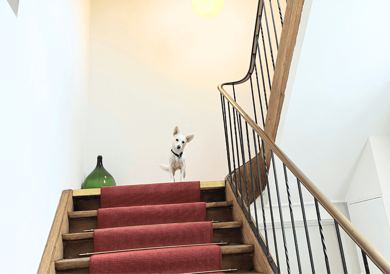 1 bedroom flat to rent, 25 m², Obertorplatz 14, Hechingen, Baden-Württemberg 1 bedroom flat to rent, 25 m², Obertorplatz 14, Hechingen, Baden-Württemberg