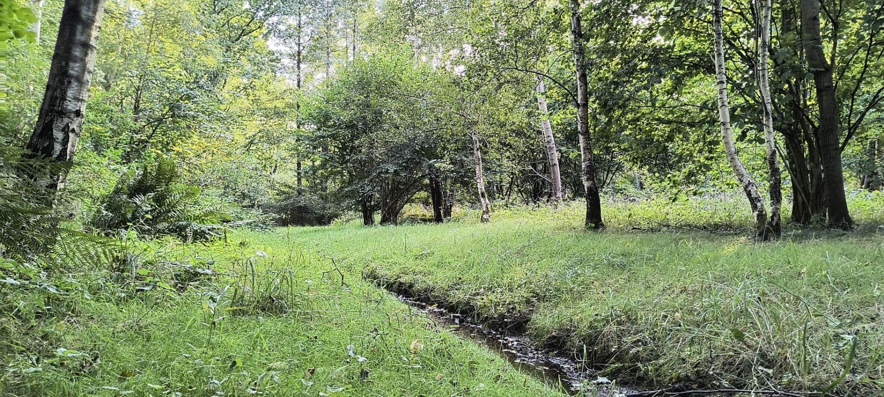 house for sale, 200 m², Hamburg, Hamburg house for sale, 200 m², Hamburg, Hamburg