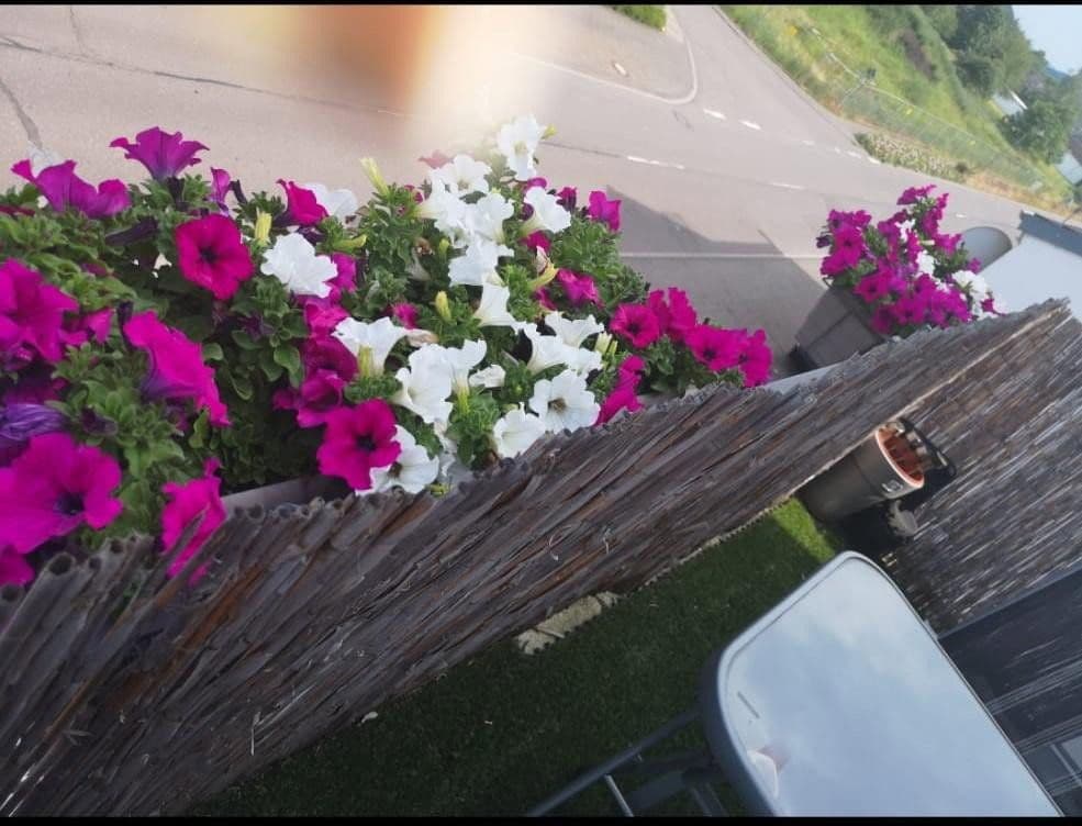 2 bedroom flat to rent, 60 m², Könener Str. 71, Konz, Rhineland-Palatinate 2 bedroom flat to rent, 60 m², Könener Str. 71, Konz, Rhineland-Palatinate