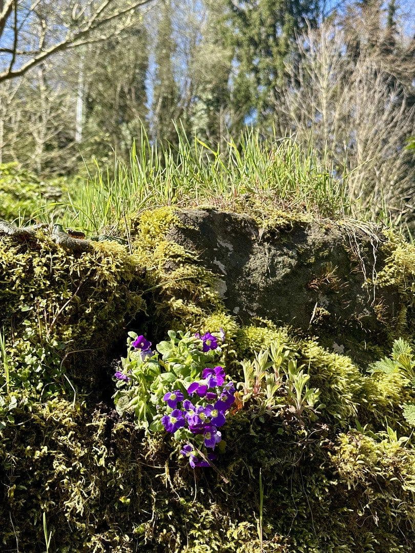 3 bedroom flat to rent, 80 m², Calw, Baden-Württemberg 3 bedroom flat to rent, 80 m², Calw, Baden-Württemberg