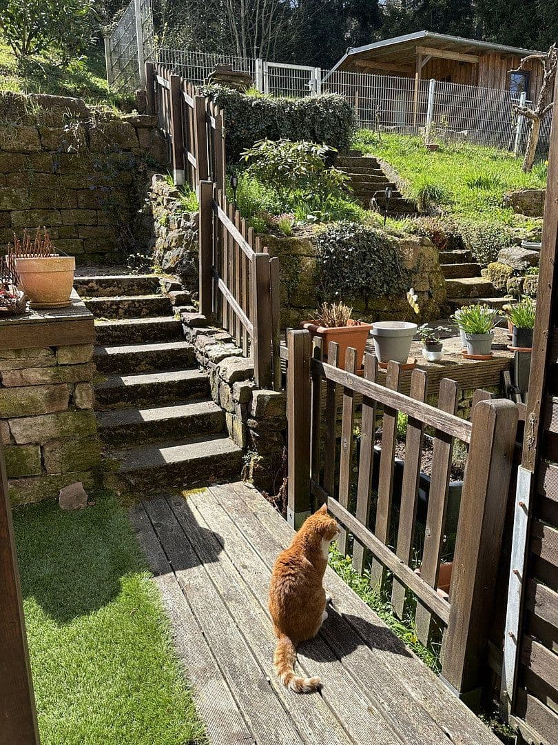 3 bedroom flat to rent, 80 m², Calw, Baden-Württemberg 3 bedroom flat to rent, 80 m², Calw, Baden-Württemberg