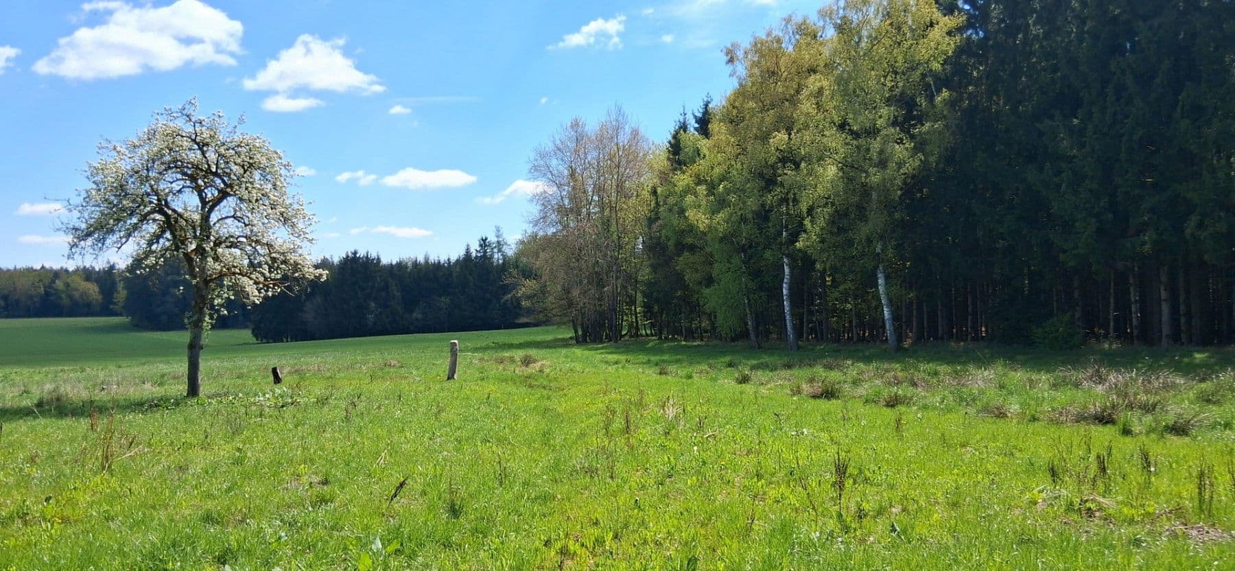 plot for sale, 12,500 m², Tölzenöd 2, Egglham, Bavaria plot for sale, 12,500 m², Tölzenöd 2, Egglham, Bavaria