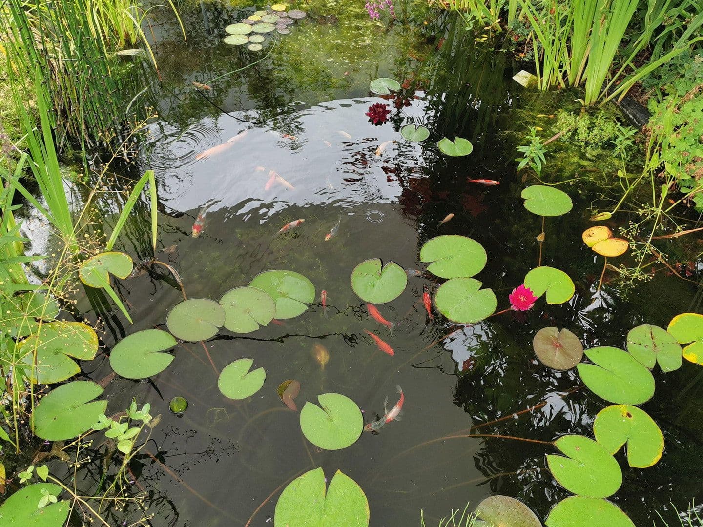 house for sale, 80 m², Dieburg, Hesse house for sale, 80 m², Dieburg, Hesse