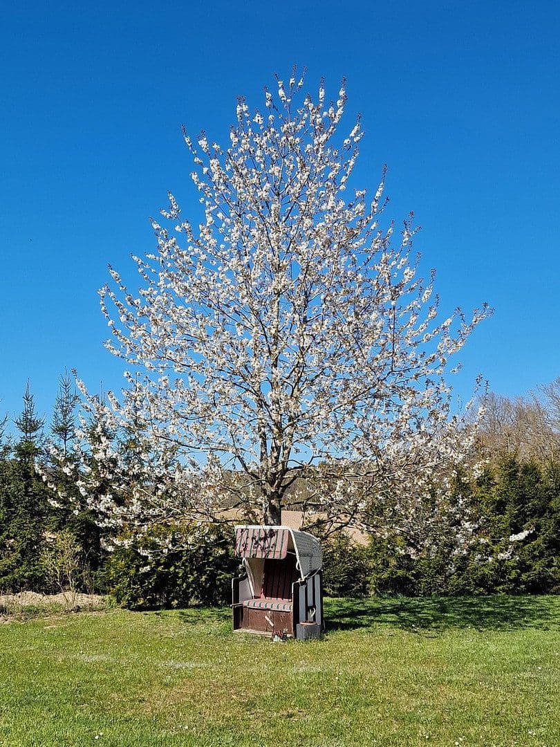 house for sale, 220 m², Garz, Mecklenburg-Vorpommern house for sale, 220 m², Garz, Mecklenburg-Vorpommern