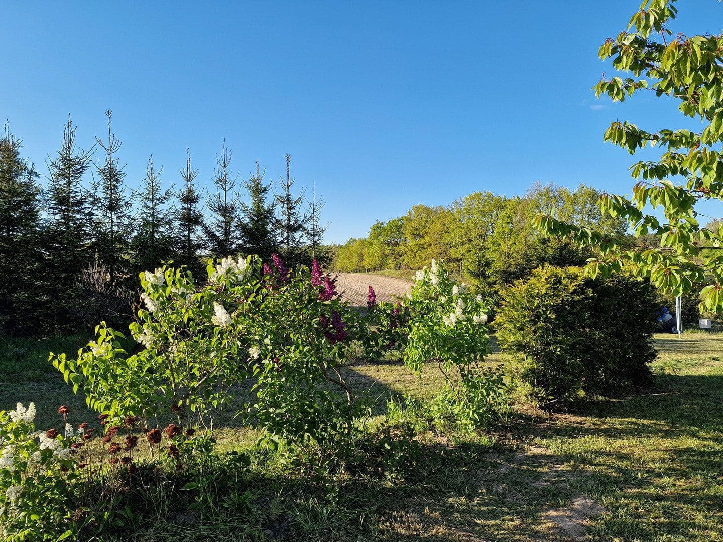 house for sale, 220 m², Garz, Mecklenburg-Vorpommern house for sale, 220 m², Garz, Mecklenburg-Vorpommern