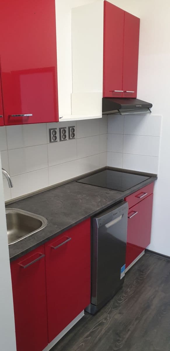 1 bedroom with open-plan kitchen flat to rent, 40 m², Chrpová, Prague, Prague 1 bedroom with open-plan kitchen flat to rent, 40 m², Chrpová, Prague, Prague