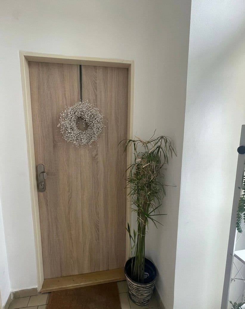 1 bedroom with open-plan kitchen flat to rent, 55 m², Körnerova, Brno, Jihomoravský Region 1 bedroom with open-plan kitchen flat to rent, 55 m², Körnerova, Brno, Jihomoravský Region