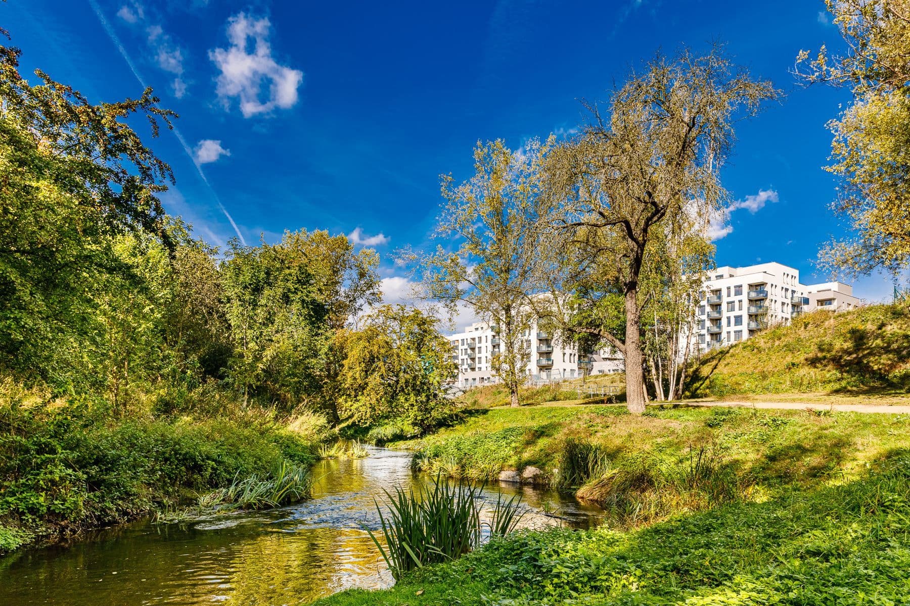 1 bedroom with open-plan kitchen flat to rent, 64 m², Waltariho, Prague, Prague 1 bedroom with open-plan kitchen flat to rent, 64 m², Waltariho, Prague, Prague