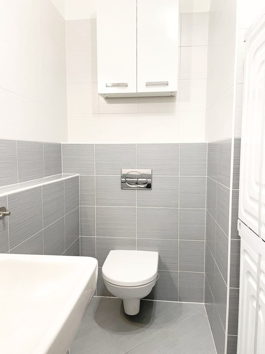 1 bedroom with open-plan kitchen flat to rent, 50 m², Svitákova, Prague, Prague 1 bedroom with open-plan kitchen flat to rent, 50 m², Svitákova, Prague, Prague