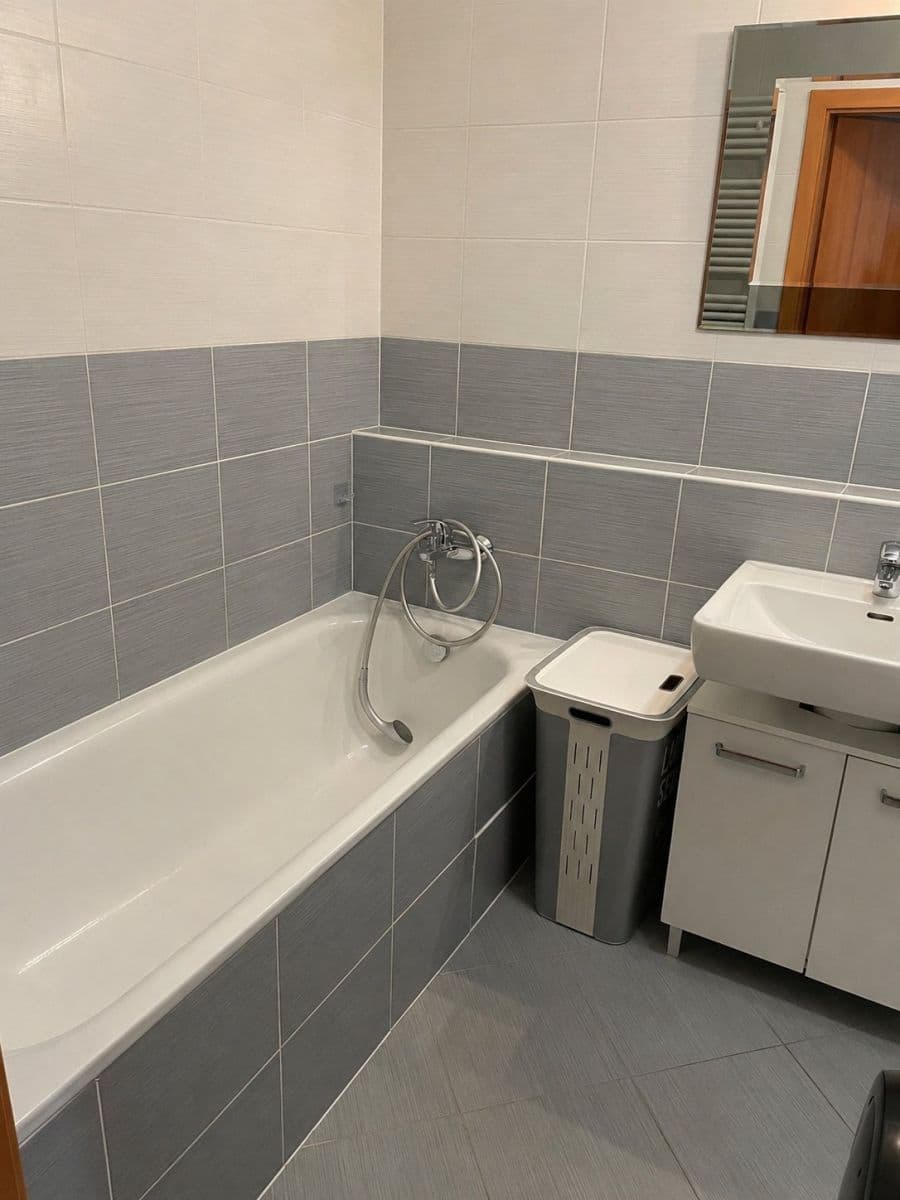 1 bedroom with open-plan kitchen flat to rent, 50 m², Svitákova, Prague, Prague 1 bedroom with open-plan kitchen flat to rent, 50 m², Svitákova, Prague, Prague